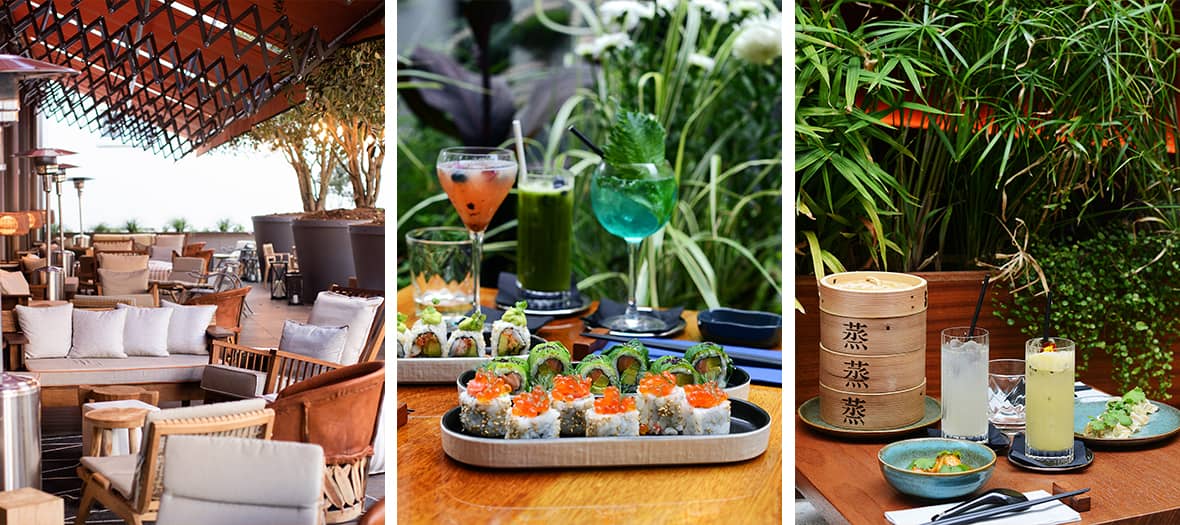 Les terrasses branchées avec la terrasse du Loulou, du Ralph's et du Steam Bar à Paris