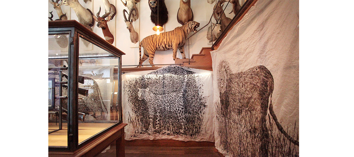 Museum of hunting and nature