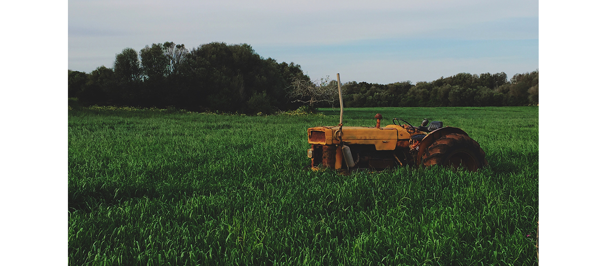 A tractor in a farm