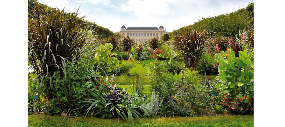 jardin des plantes, a parisian garden