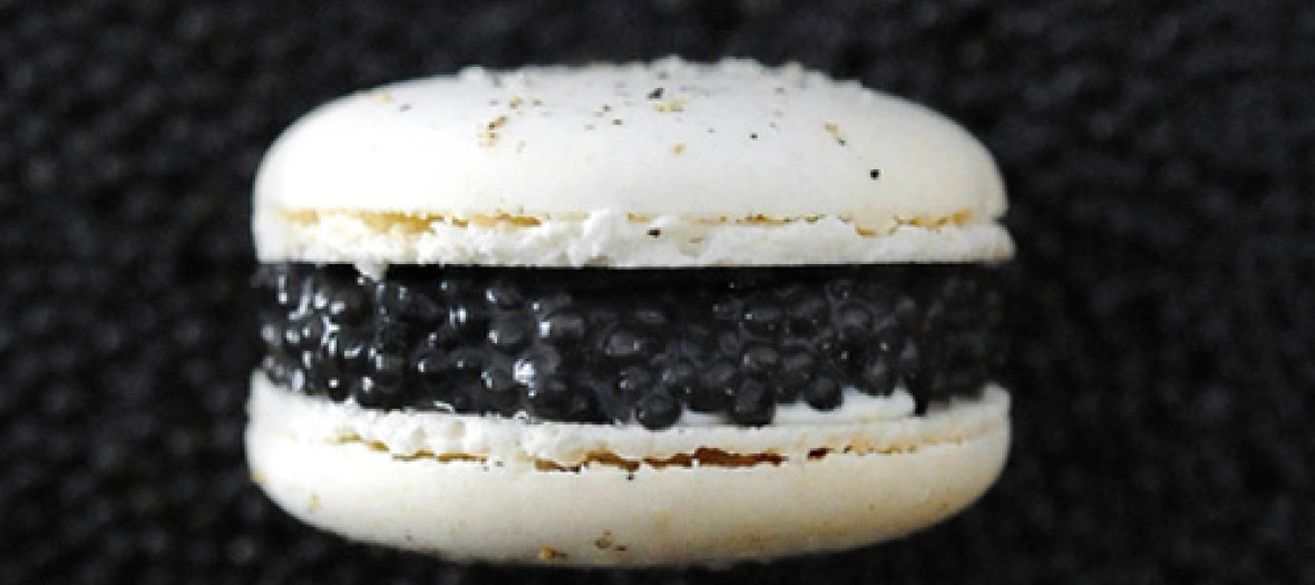 Luxe Le Macaron Au Caviar