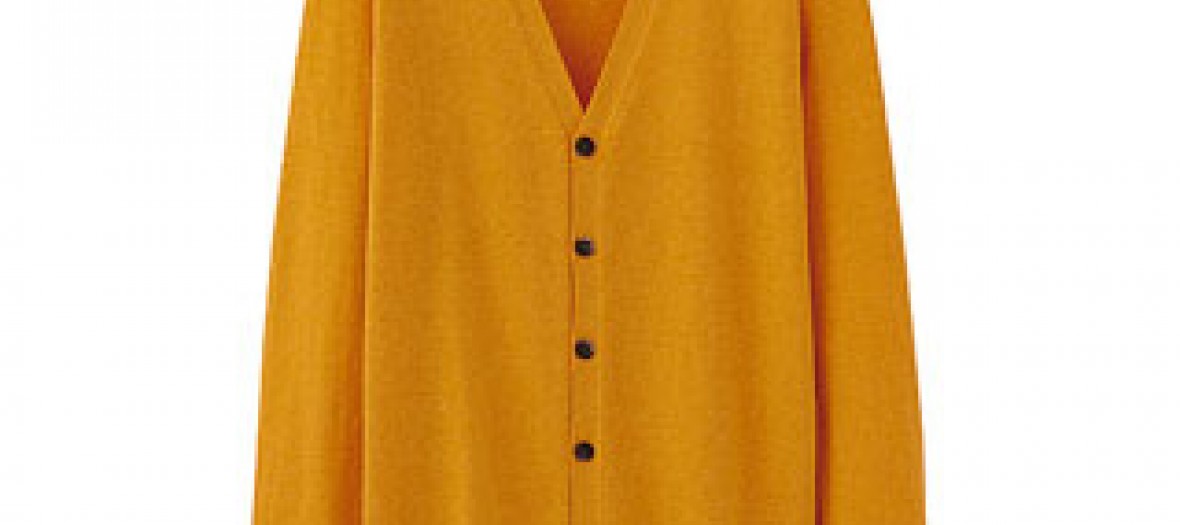 2 Cardigan Uniqlo
