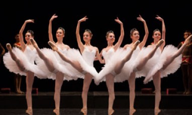 Avis Aux Fans De Black Swan 1