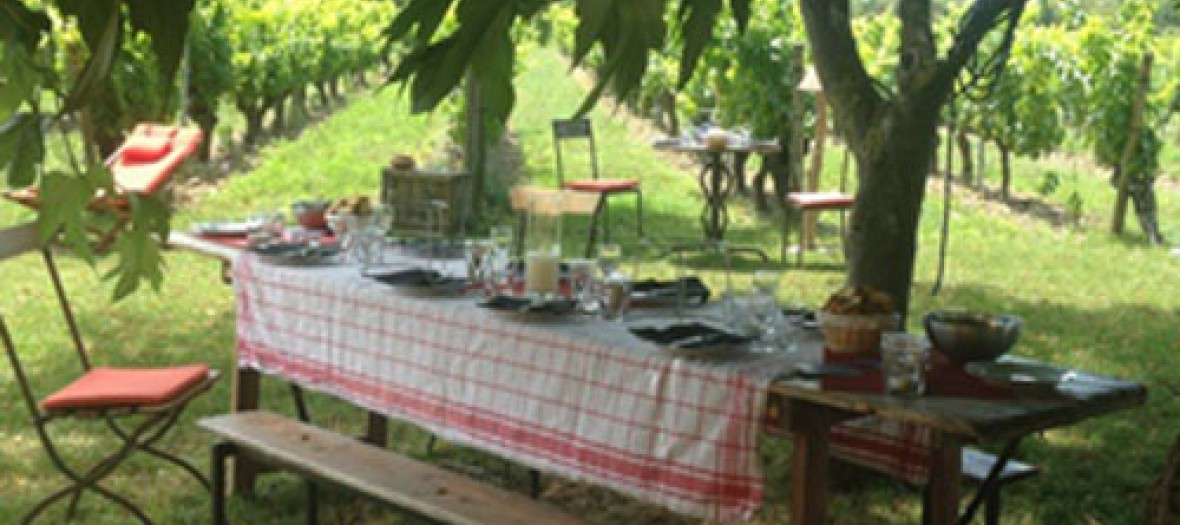 Un Bar Clandestin Dans Les Vignes De Provenceb