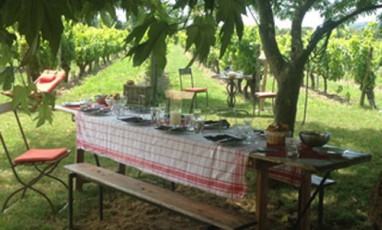 Un Bar Clandestin Dans Les Vignes De Provenceb