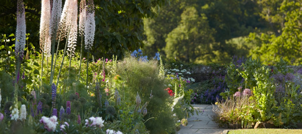 Lovely Break Dans Un Jardin Anglais 680