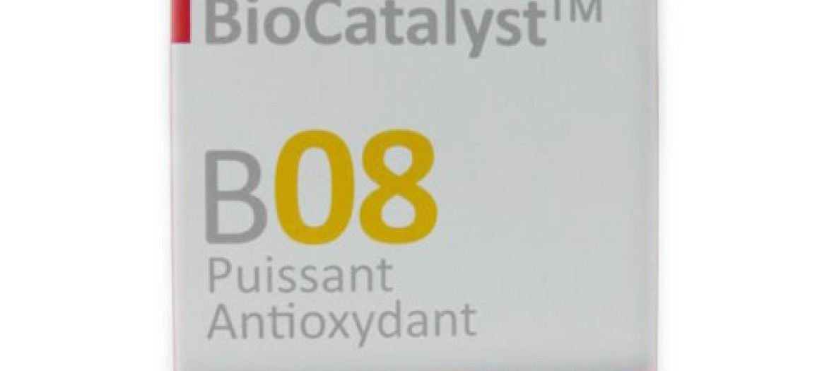 Gelllules Biocatalyst B08