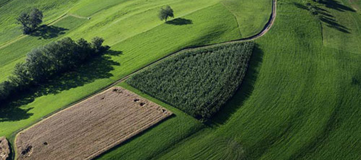 La Plus Green La Suisse Vue Du Ciel Par Yann Arthus Bertrand