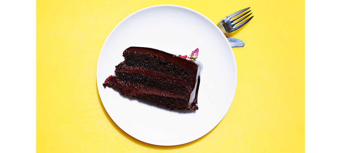 Piece of chocolate cake 