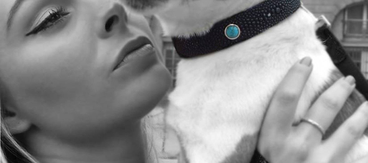 Colliers Chics Pour Chiens Styles