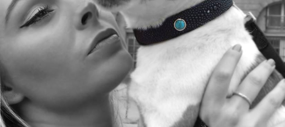 Colliers Chics Pour Chiens Styles