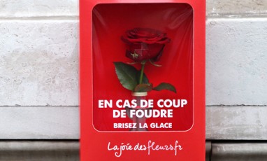 Des Roses Paris