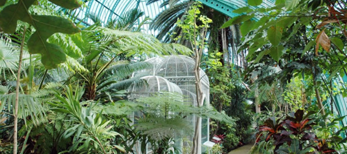 16un Jardin Tropical Comme Si Vous Etiez A Rio Aux Serres D Aute