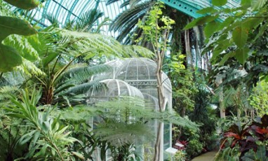 16un Jardin Tropical Comme Si Vous Etiez A Rio Aux Serres D Aute