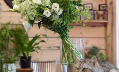 Un Bouquet En Take Away Chez Les Mauvaises Graines