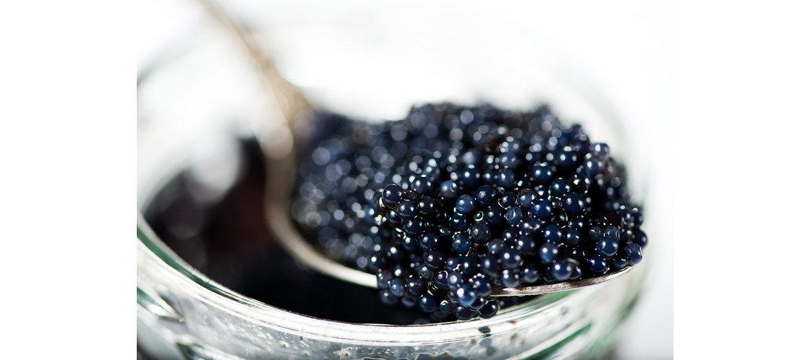 caviar