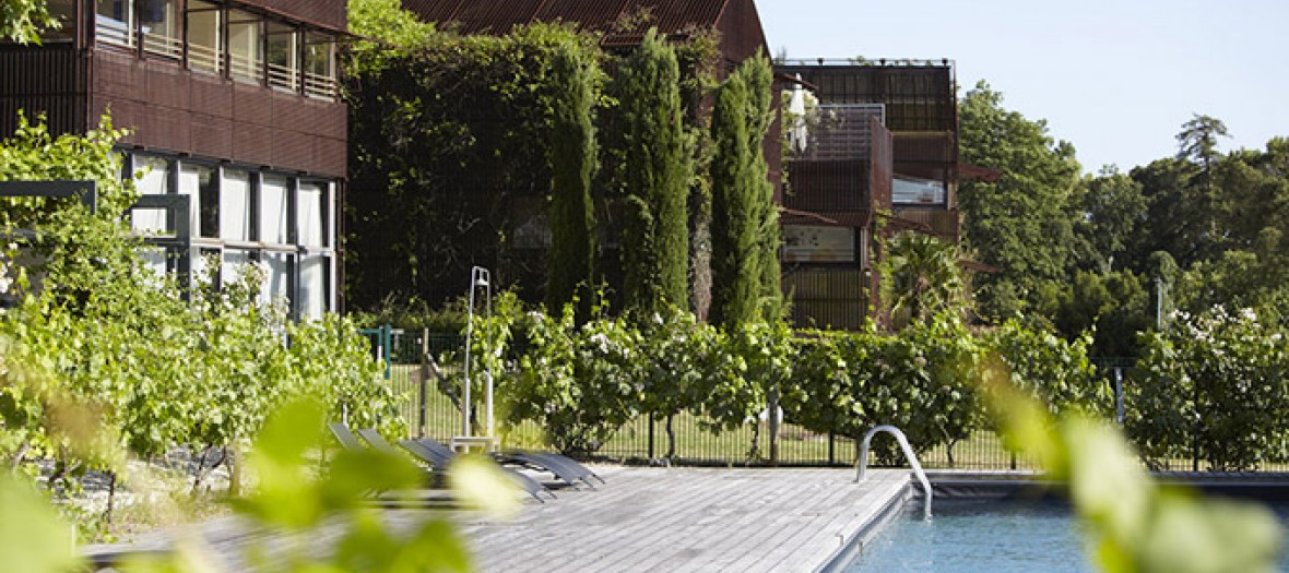 Hôtel avec piscine au milieu des vignes