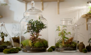 Landscapes of meadows in glass terrariums in the plant workshop of Canal Saint Martin