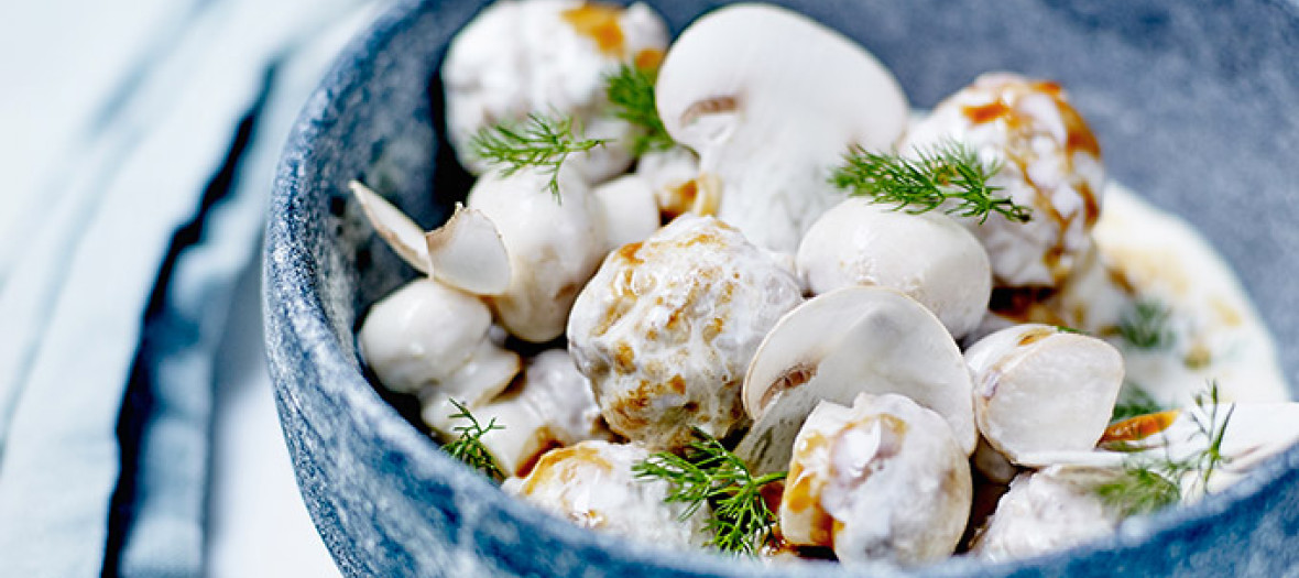 Plate of Scandinavian veal meatballs with mushrooms and dill