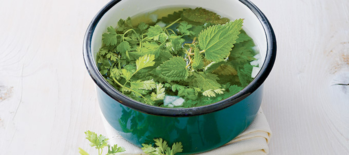 Saucepan with nettle broth