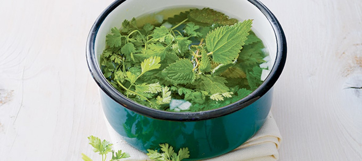 Casserole de bouillon d'orties