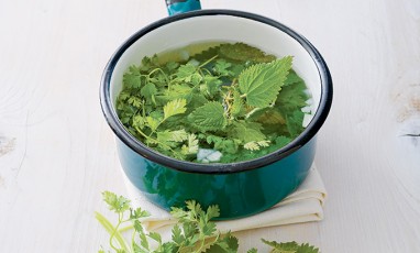 Saucepan with nettle broth