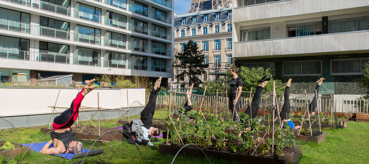 Cours de yoga dans un potager