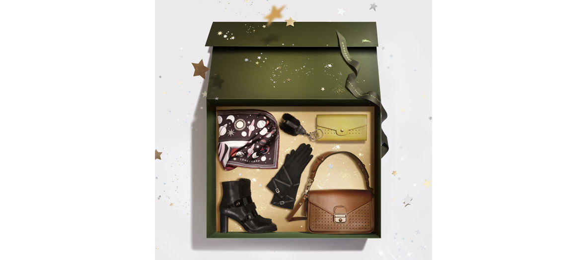 boite longchamp cadeau de noel