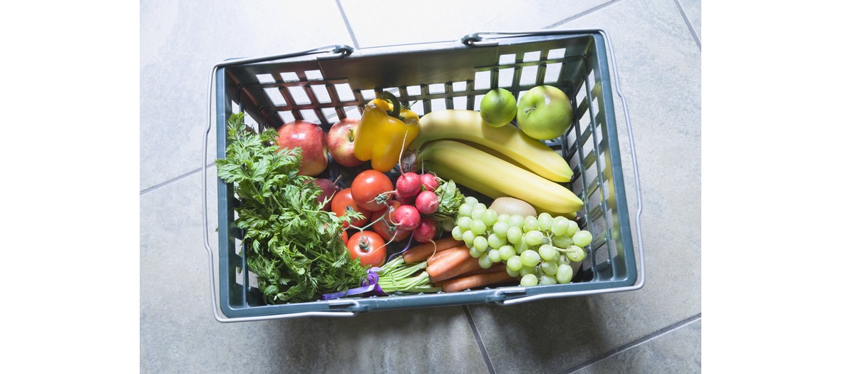 basket of fruits