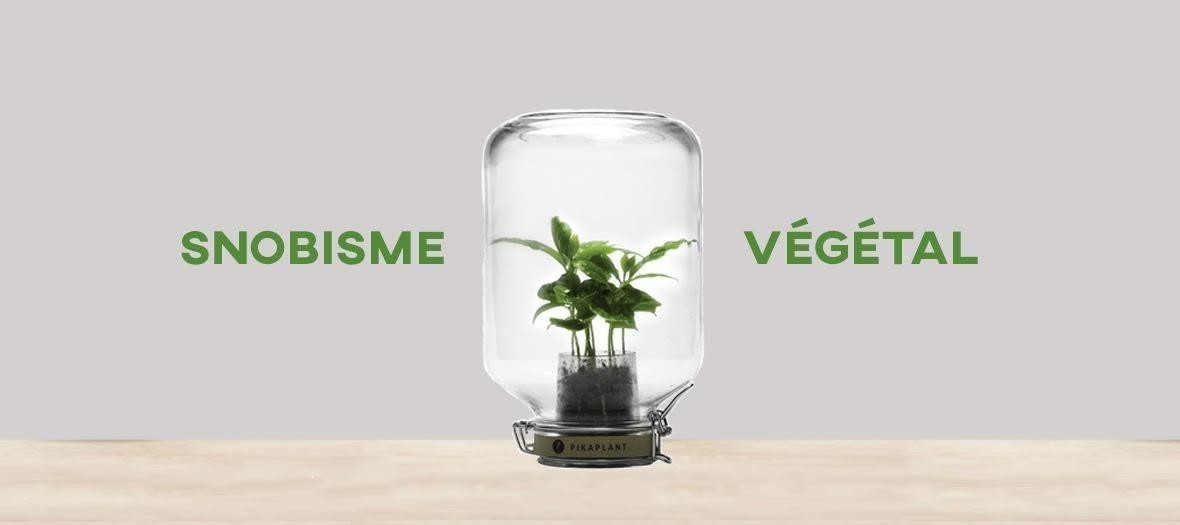 Snobisme Vegetal