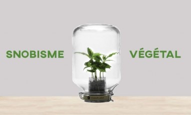 Snobisme Vegetal