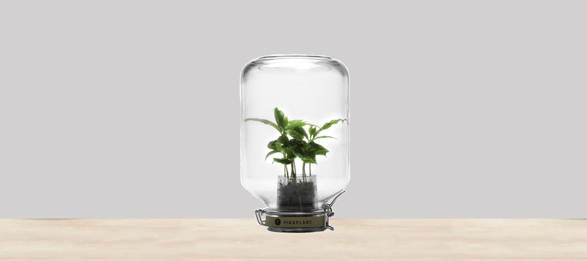 madeindesign plante