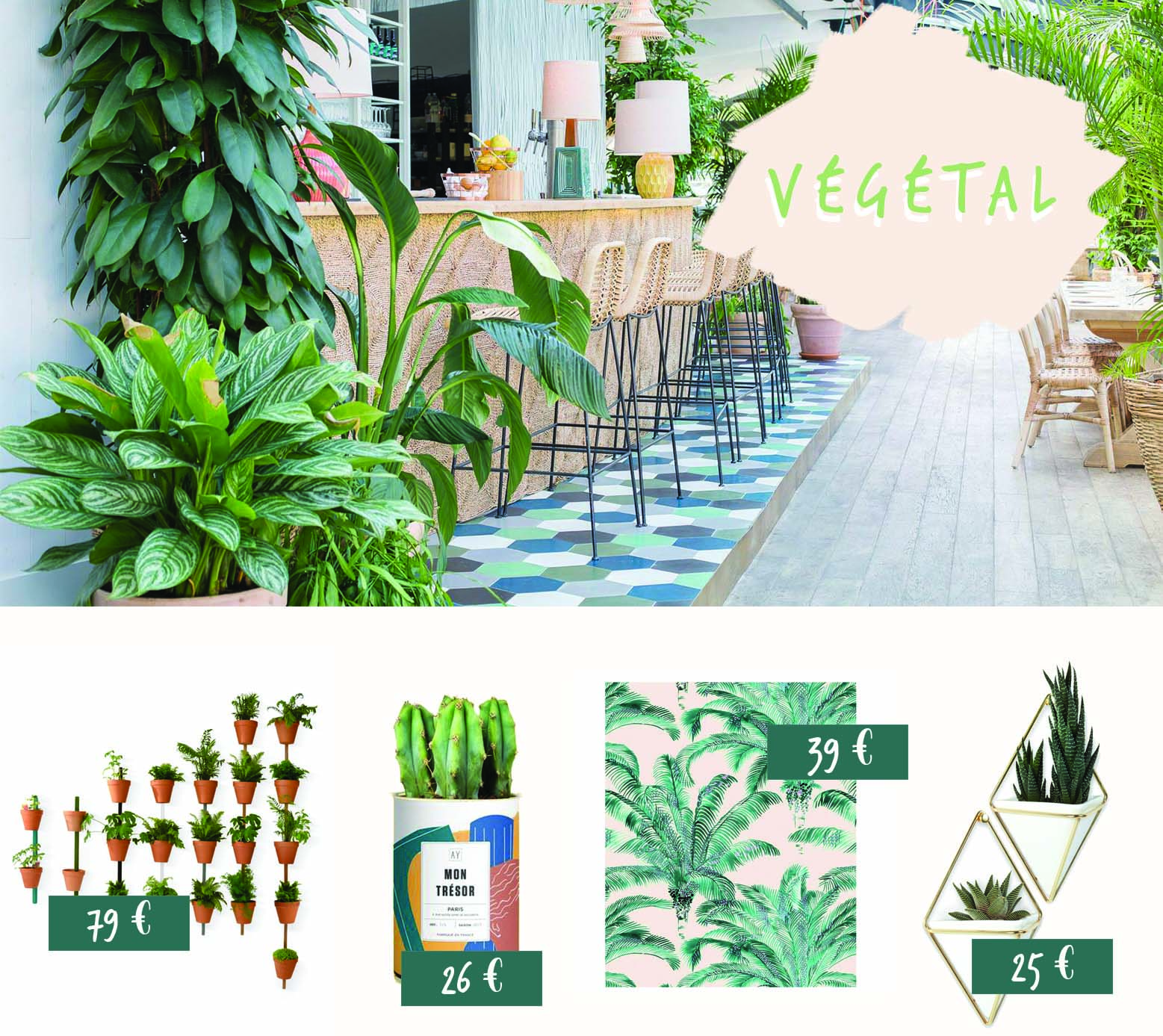 vegetaliser son interieur decoration laura gonzales