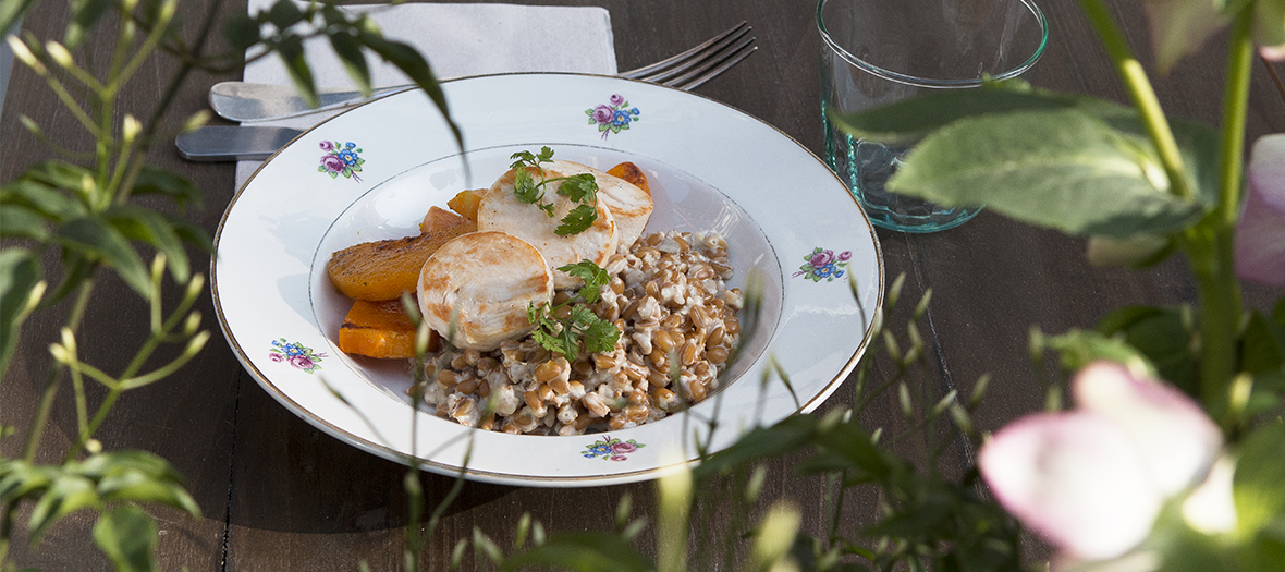 food-terrace-marcelle-restaurant