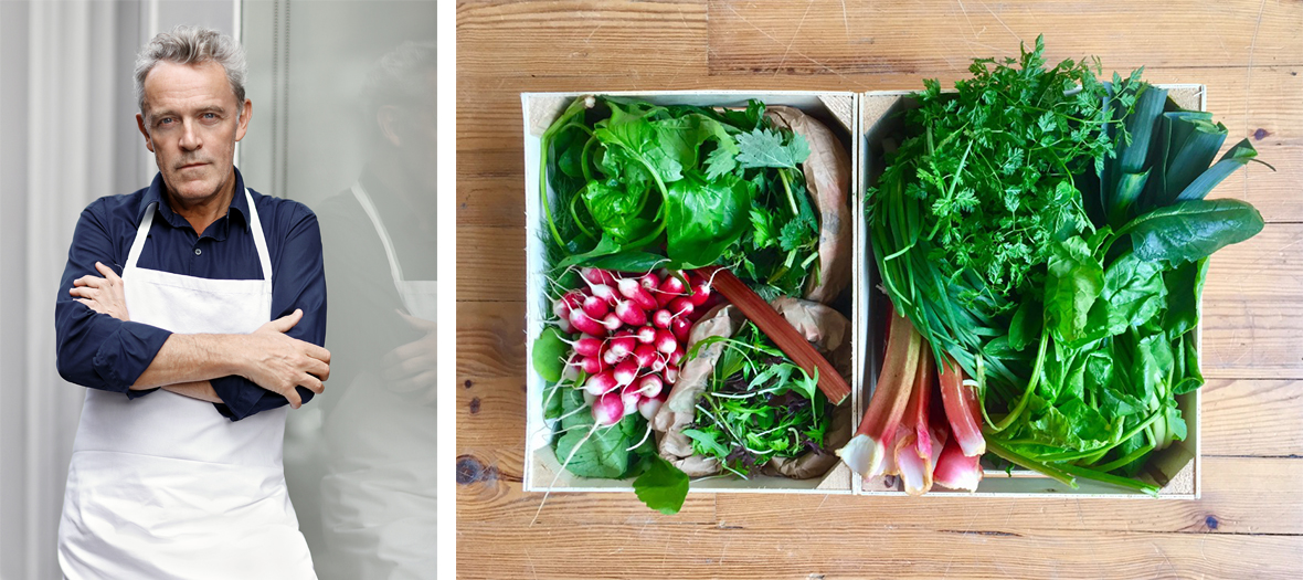 Panier de légumes d'été