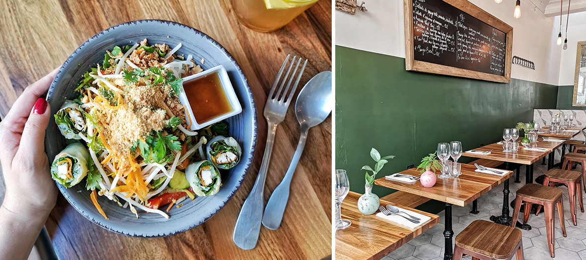  Thai and vegan restaurant, interior and salad restaurant dish with spring rolls