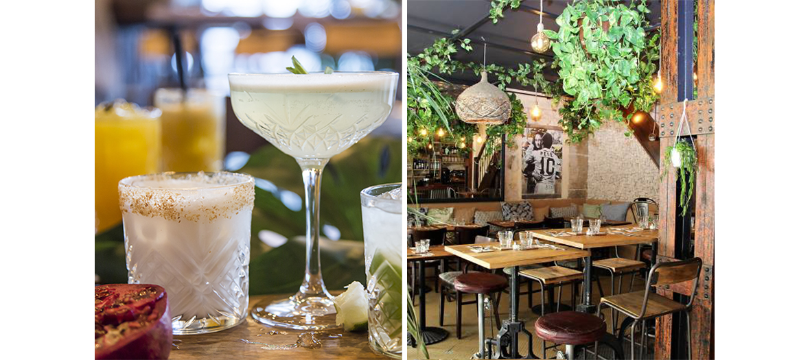 le Cocktails Coco Lulu et le décor Jungle Urbaine du Bar