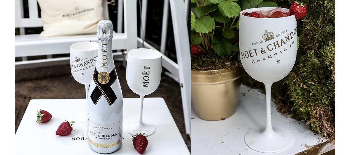 Moet Jardin A Champagne