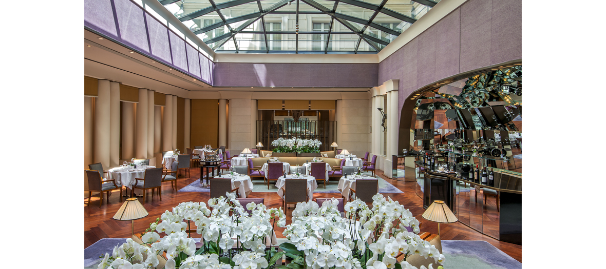 The neo bistrot at the Park Hyatt hotel in Paris 