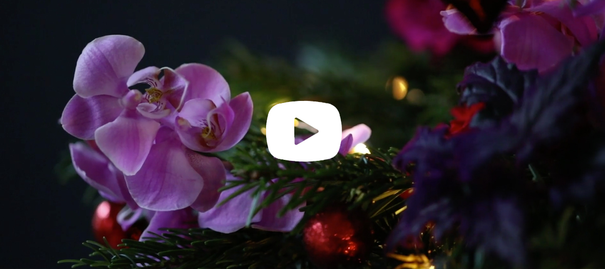 célébrer noël avec des fleurs