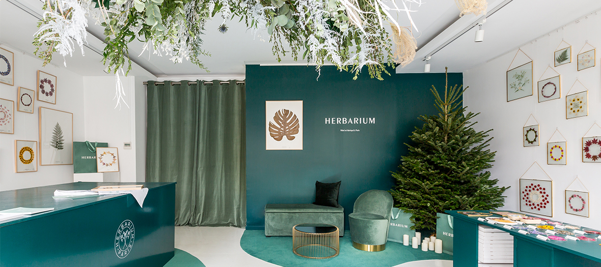 Pop Up Herbarium Dec 2018