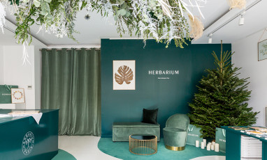 Pop Up Herbarium Dec 2018