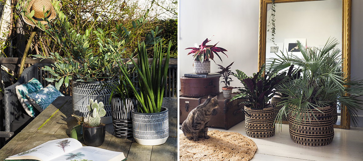 pot rond, panier noir et blanc