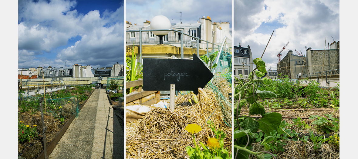 potagers rooftops