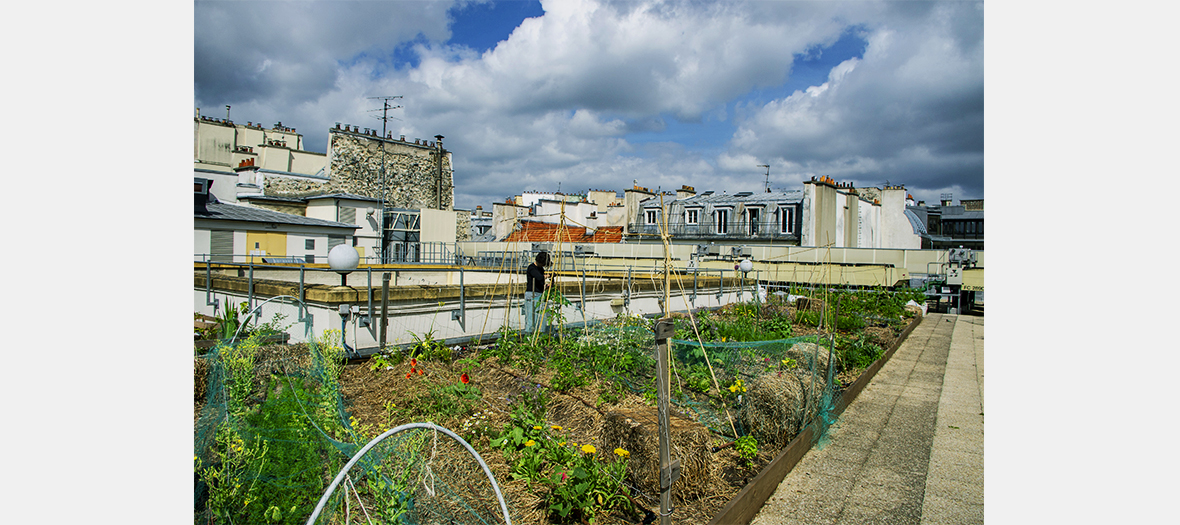 potagers-toits