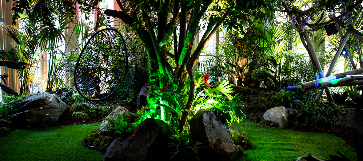 Jungle immersive de la villa extraordinaire