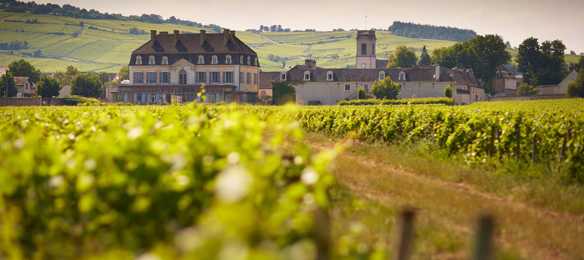 sexe de la vigne adolescent