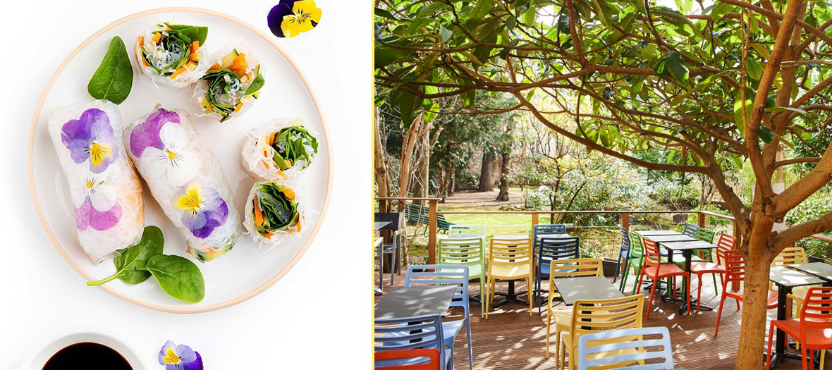 Exki Healthy cantina, spring rolls and terrace of the restaurant in a garden in Paris