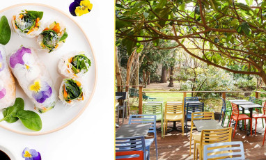 Exki Healthy cantina, spring rolls and terrace of the restaurant in a garden in Paris