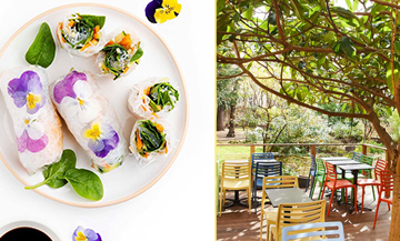 Exki Healthy cantina, spring rolls and terrace of the restaurant in a garden in Paris